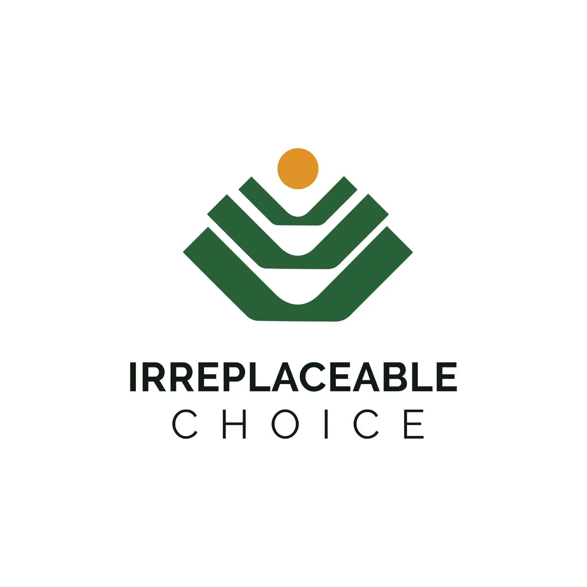 Irreplaceable Choice - Build the Brand That Makes You Impossible to ...